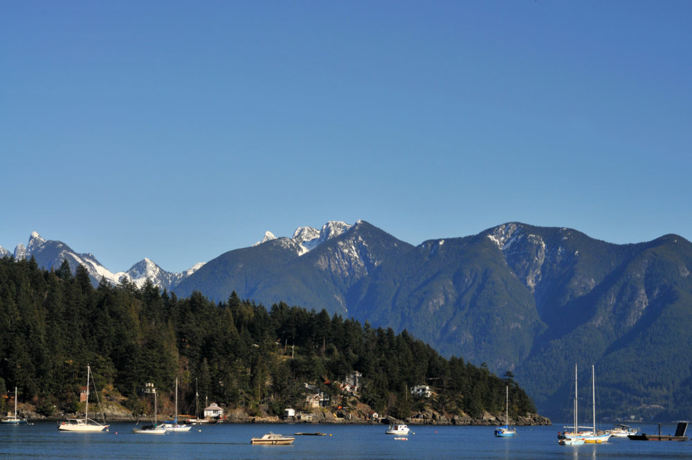 image with link